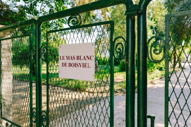 photo by Julie Hrncirova